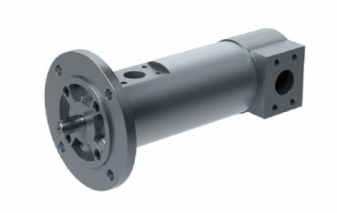 Screw pumps